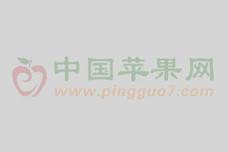 2024中國(guó)（廈門）國(guó)際光電產(chǎn)業(yè)暨半導(dǎo)體與5G應(yīng)用展會(huì)